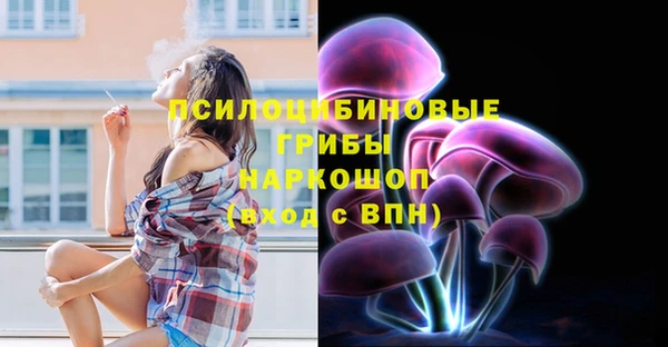 прущий лед Арсеньев